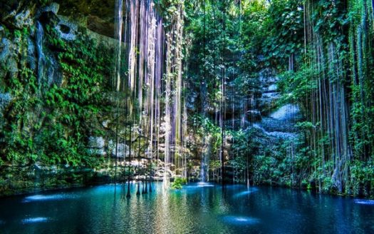 Magical Cenotes of the Yucatan