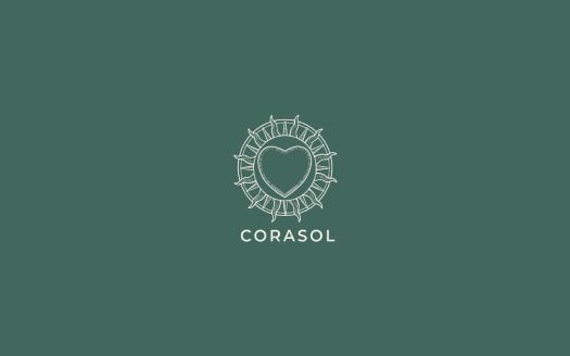 Financing Now Available on Corasol Listings