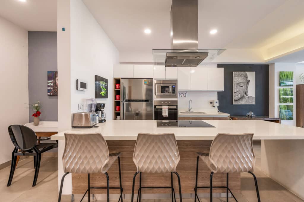 ICONO condo for sale Kitchen
