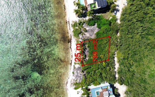 Tankah Bay Tulum Beachfront Land
