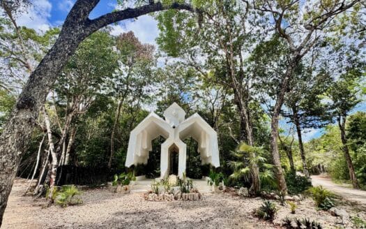 Aldea Coral 2 Hectare Land
