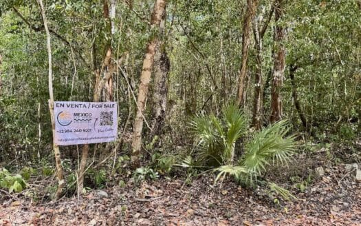 Aldea Coral 2 Hectare Land